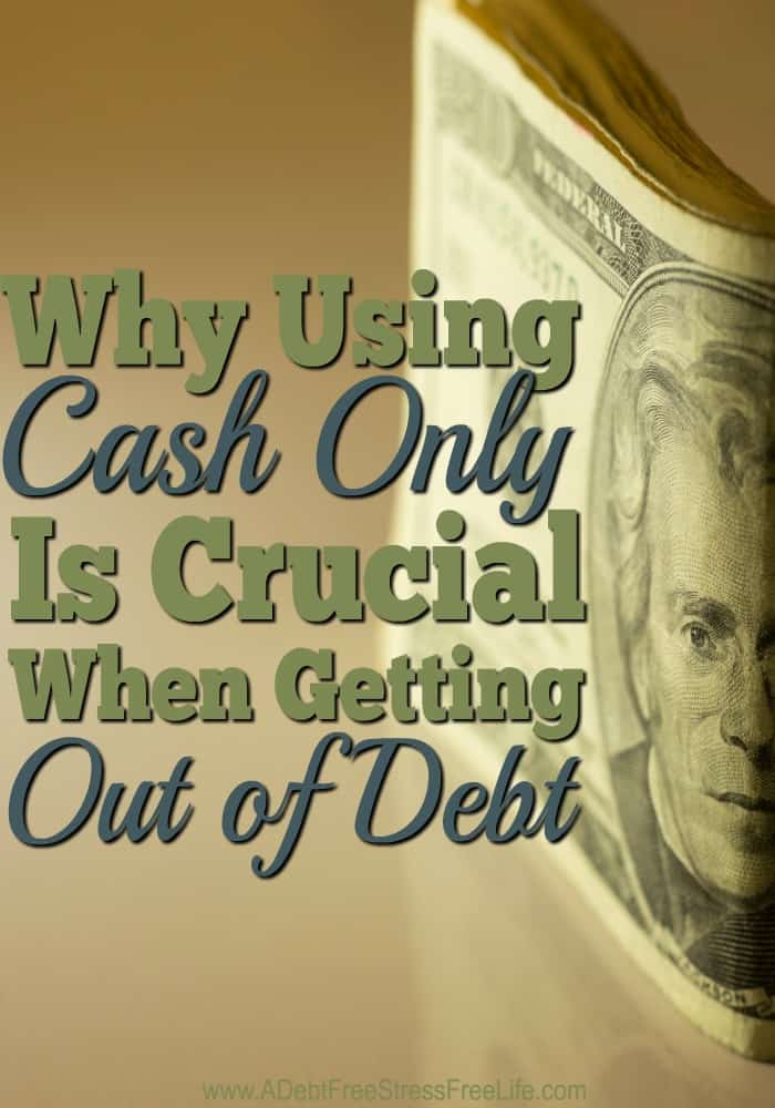 Cash Money King St Kitchener Cash Money King St Kitchener