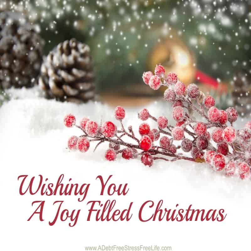 Wishing you a joy filled christmas