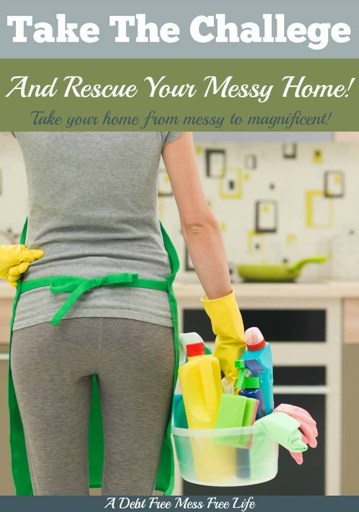This challenge changed my life! Instead of feeling hopeless and depressed over the cleanliness and organization of my home, I'm now thrilled at how peaceful, clean and organized it's become. We went from messy to magnificent!