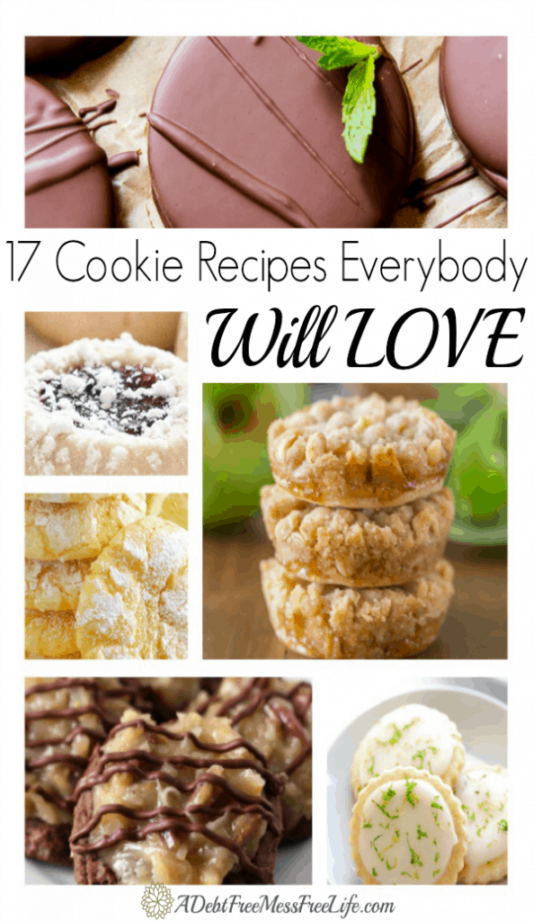 This collection of cookies are sure to please. Easy and recipes that include all your favorite flavors from chocolate to peanut butter and some more sophisticated flavors too! Try them all!