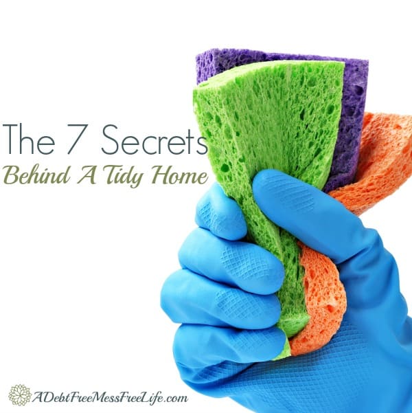 housecleaning tips