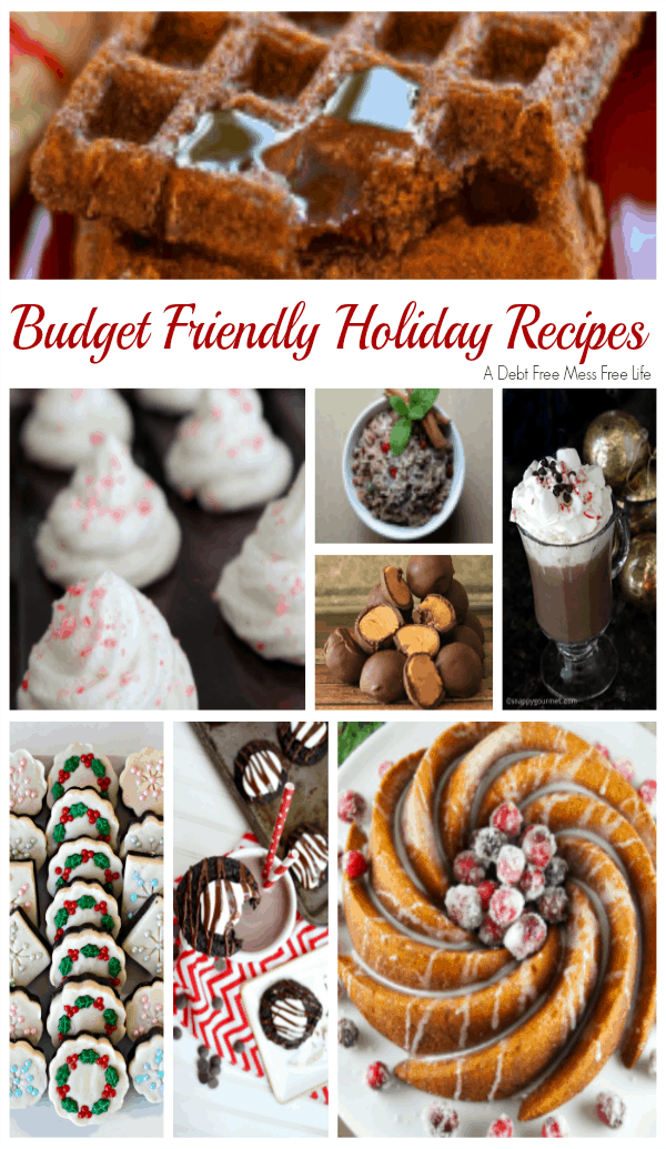 Each week we bring you 7 new budget friendly holiday ideas. Simple and delicious recipes and easy projects that won't break the bank!