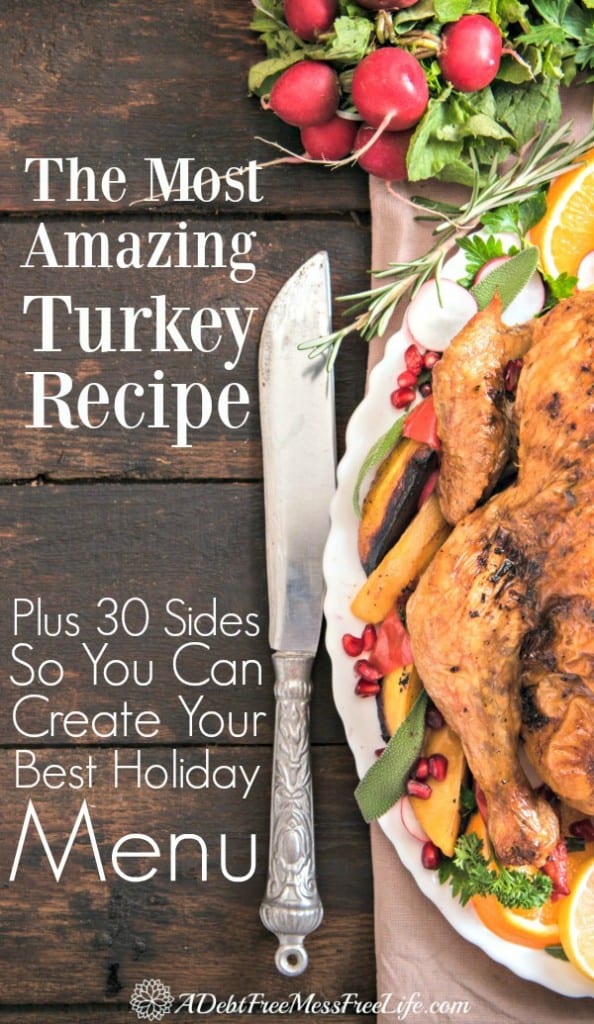 We've got the best Thanksgiving recipes for your holiday menu. Starting with THE BEST TURKEY RECIPE out there! And, appetizers, side dishes and dessert options. Food that will make everyone happy this holiday! 