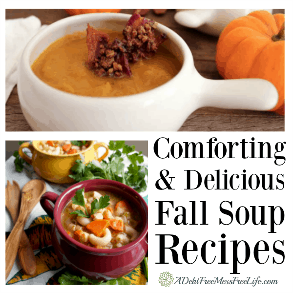 These easy, healthy, and delicious soup recipes will warm you up on a cold fall day. Vegetarian, beef, chicken and gluten free options included.