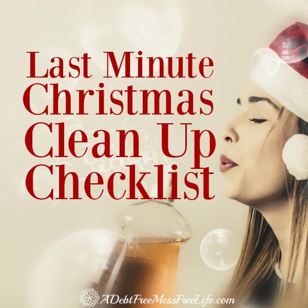 Short on time this Christmas? The company is about to arrive. Use my handy 15 minute quick cleanup tips and have your home company ready!