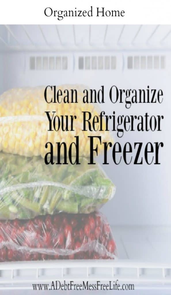 Clean and organize your freezer and find an abundance of hidden treasures for meal planning that will save money! 