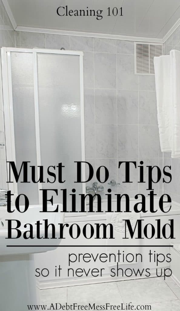 Cleaning | Spring Cleaning | House | Home | Tips | Strategies | Hacks | Shower | Remove Mold | Bathroom | Bath tub