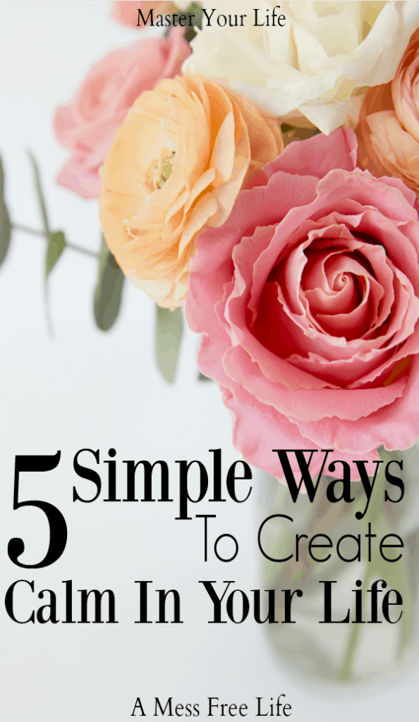 Do you long for calm and peace? These 5 simple solutions will help you bring back the joy into your life. Simplicity | Ideas | Life | Home | Peace | Joy |